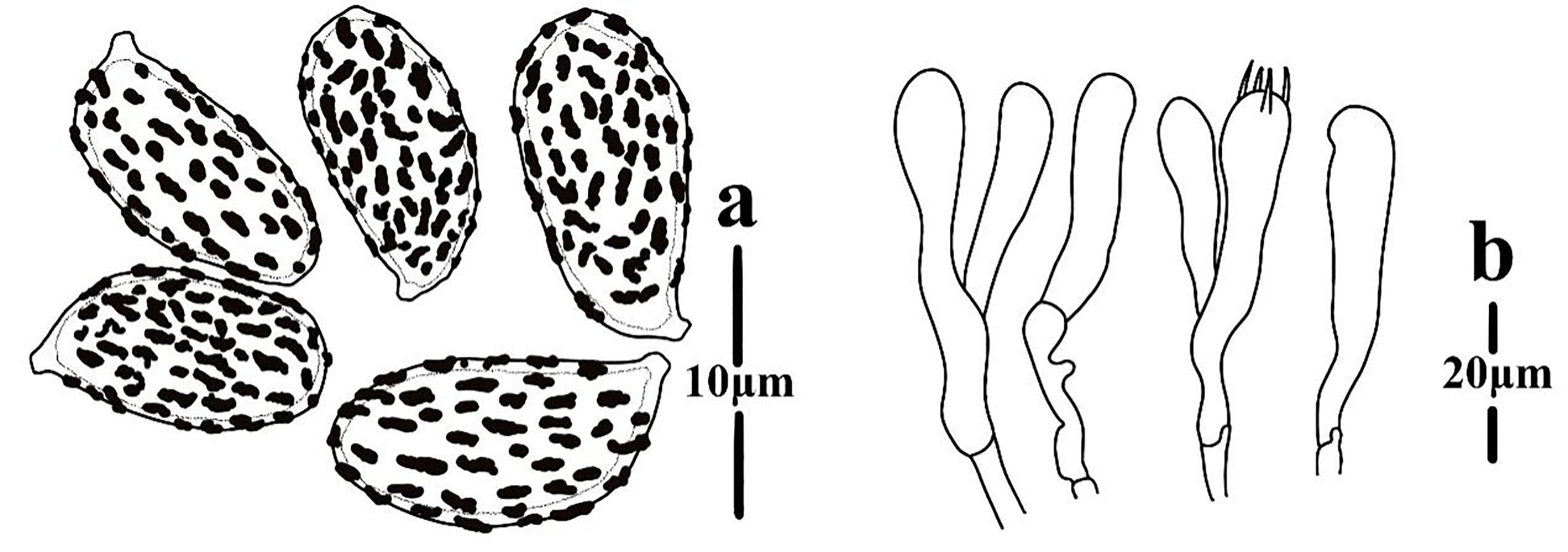 Figure 65